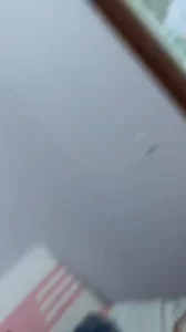 出租房里干少妇