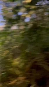 坐标昆明带着别人家的白嫩丰满少妇野战，足足操了半个多小时